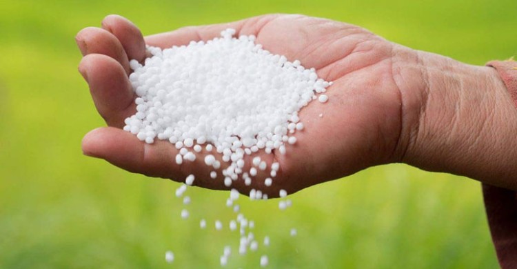 ইউরিয়া সারের দাম কেজিতে ৬ টাকা বাড়িয়ে ২২ টাকা নির্ধারণ