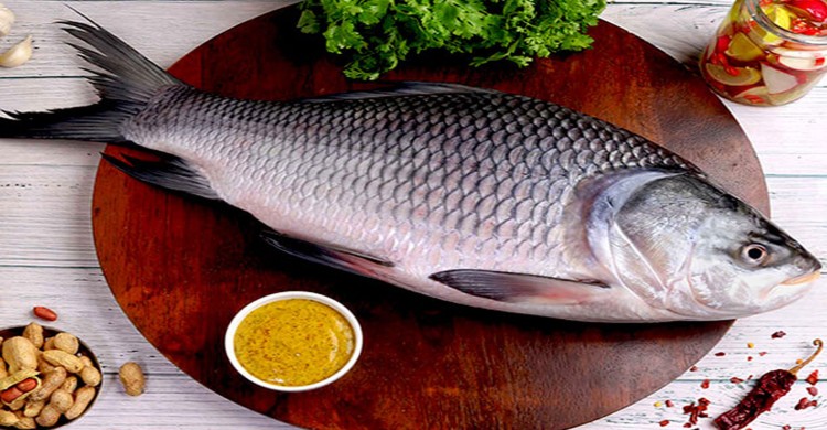 মাছের উপকারী উপাদান শরীরে যেভাবে কাজ করে
