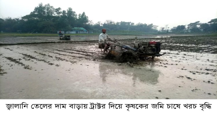 কৃষি কাজের মূল্য বৃদ্ধি: সারের পর ডিজেলের দাম বাড়ায় হিমশিমে কৃষক
