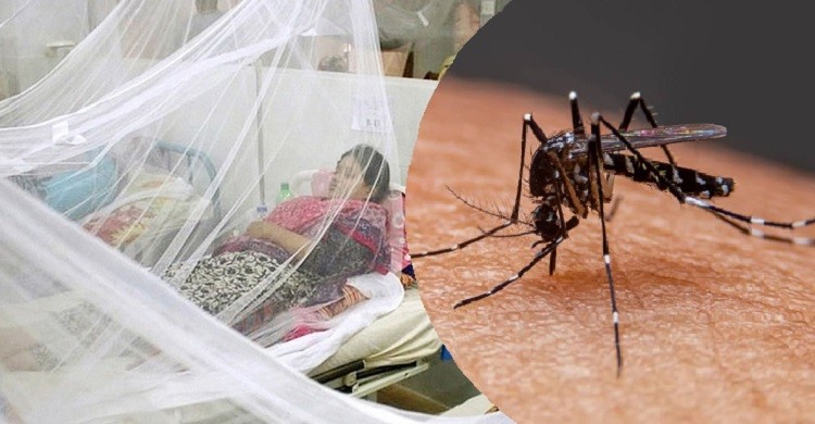 ডেঙ্গুতে আরও ছয়জনের মৃত্যু, হাসপাতালে ভর্তি ৮৬৯