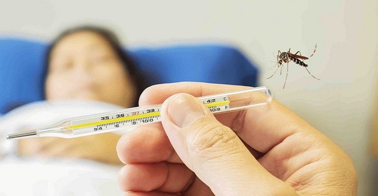 ডেঙ্গুতে অক্টোবরে ৮৬ জন মৃত্যুর রেকর্ড