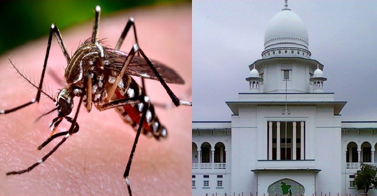জনস্বাস্থ্য নিরাপত্তায় মশা নিধনে ব্যবস্থা নিতে আইনি নোটিশ