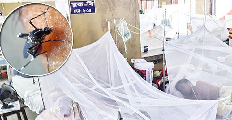 ডেঙ্গু শনাক্ত হয়ে হাসপাতালে ভর্তি ১৮ জন