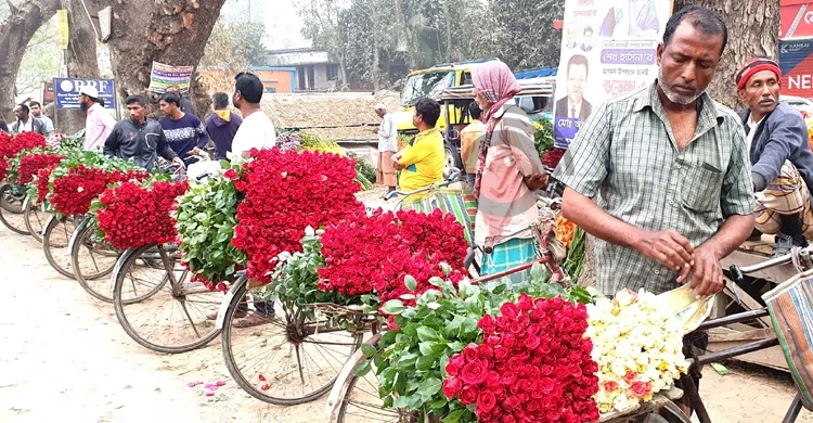 বসন্তবরণ-ভালোবাসা দিবস ঘিরে গদখালীতে ১০ দিনে ২৫ কোটি টাকার ফুল বিক্রি