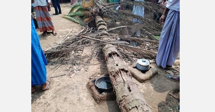 ভালুকায় রান্নার সময় ঝড়ো হাওয়ায় গাছ পড়ে গৃহবধূর মৃত্যু