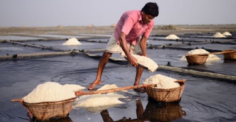 দেশে ৬২ বছরের মধ্যে সবচেয়ে বেশি লবণ উৎপাদন