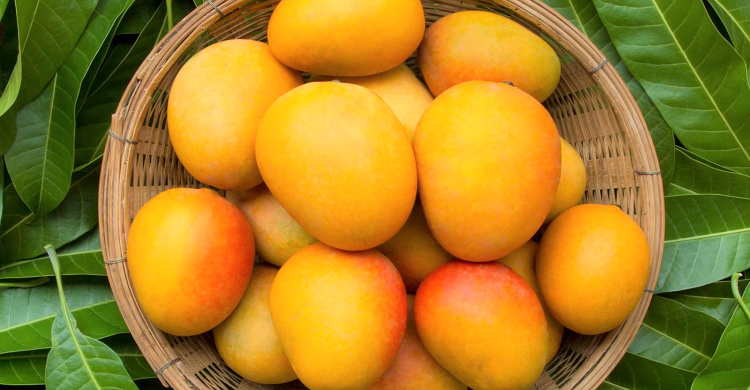 বেশি আম খাওয়ার বিপদ