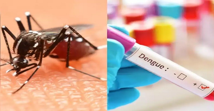 ডেঙ্গুতে আরও দুইজনে মৃত্যু, হাসপাতালে ৩৬০