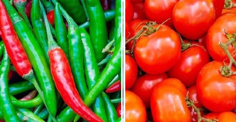 কাঁচা মরিচ ও টমেটো আমদানির অনুমতি দিল সরকার