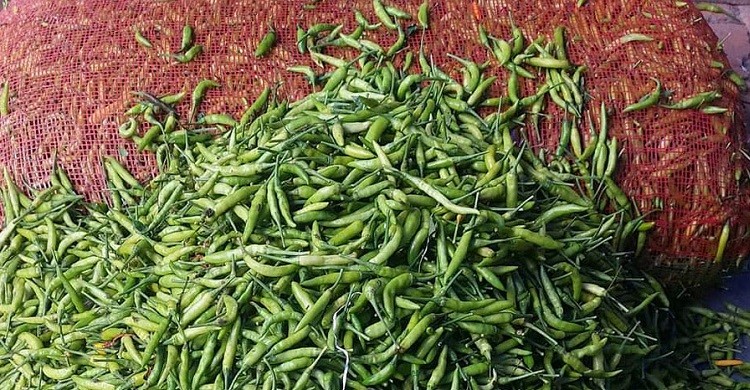 ৫ দিনে বেনাপোল দিয়ে এলো ২১১ টন কাঁচা মরিচ