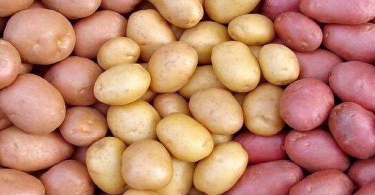 কাঁচা মরিচের পর এবার আলুর দাম বেড়েছে দ্বিগুণ
