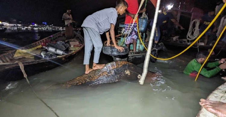 ওয়াটার বাসডুবিতে এখনো নিখোঁজ ১৫, ফের উদ্ধার অভিযান শুরু