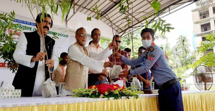 দেশকে সবুজে সবুজে ভরে তুলতে কাজ করছে বন বিভাগ: পরিবেশ ও বন মন্ত্রী