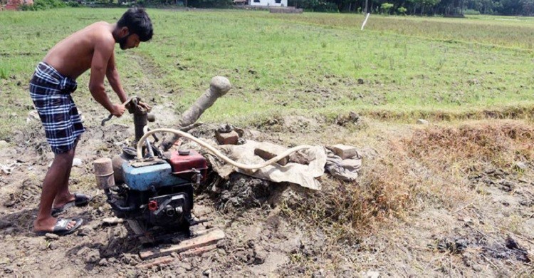 বৃষ্টির অপেক্ষায় ফুরাচ্ছে সময়, দুশ্চিন্তায় আমন চাষি
