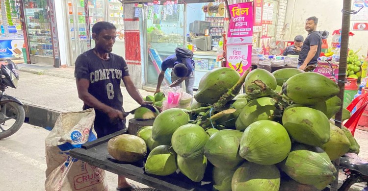 চার হাত ঘুরে ৪০ টাকার ডাব এখন ২৫০ টাকা, ক্রেতার নাভিশ্বাস
