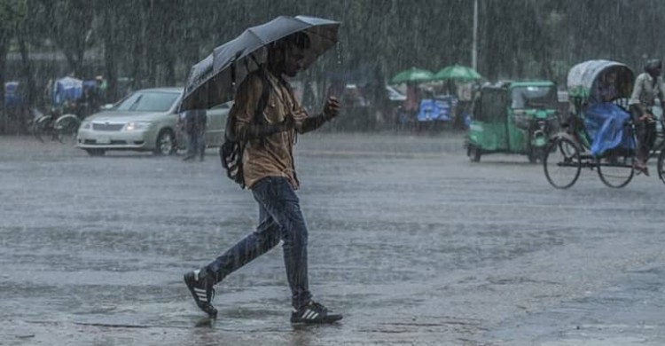 রোববার বৃষ্টি কমে মিলবে রোদের দেখা