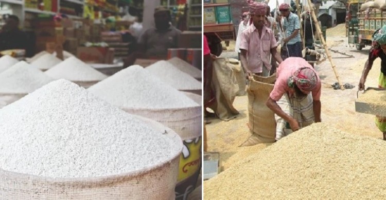 ৭ লাখ টন ধান ও চাল কিনবে সরকার