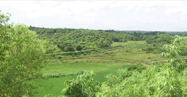 তুমব্রু সীমান্তে আরও এক বাংলাদেশি গুলিবিদ্ধ