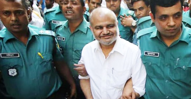 সাজাপ্রাপ্ত জি কে শামীমের জামিন