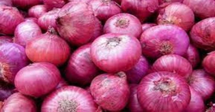 আমদানি করা পেঁয়াজ দেশে আসবে আগামী সপ্তাহে