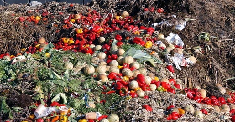 বিশ্বজুড়ে প্রতিদিন ১০০ কোটি টন খাবার নষ্ট হয় : জাতিসংঘ