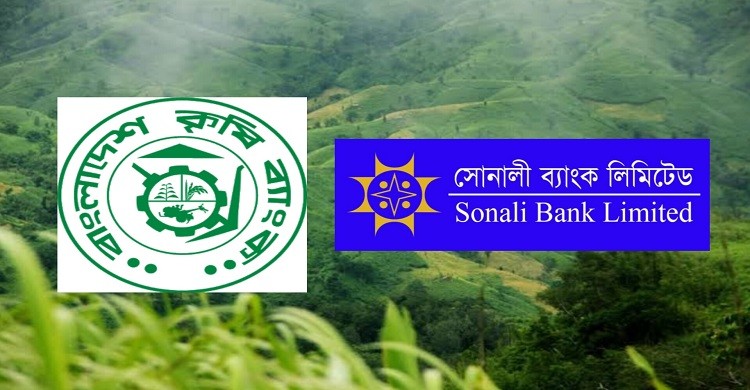 এবার থানচিতে সোনালী ও কৃষি ব্যাংকে ডাকাতি