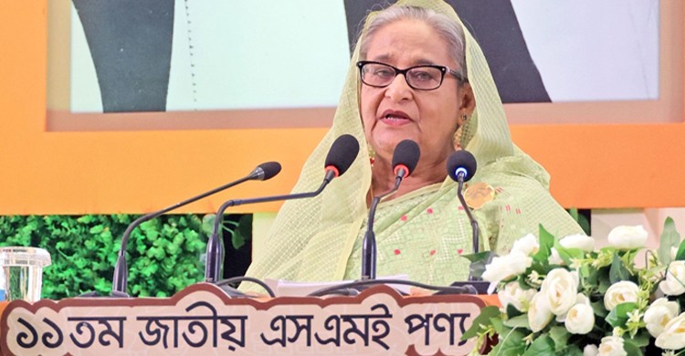 প্রধানমন্ত্রী কাছ থেকে জাতীয় এসএমই পুরস্কার পেলেন ৭ উদ্যোক্তা