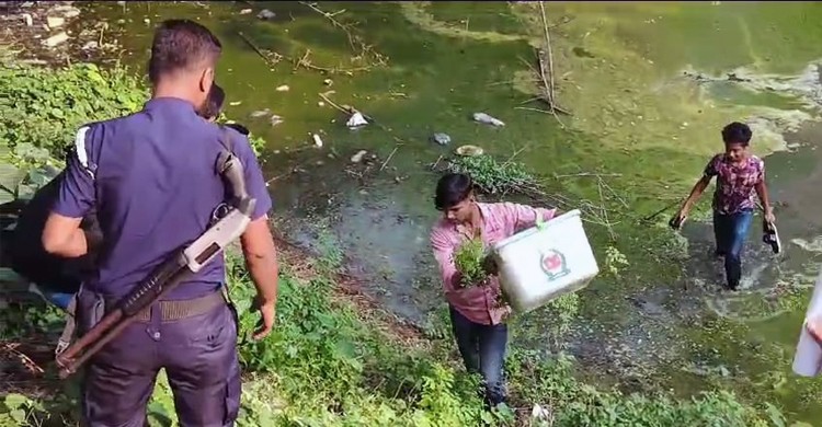 ব্যালট বাক্স ছিনতাই, প্রকাশ্যে সিলমারা, কেন্দ্র দখলের চেষ্টা