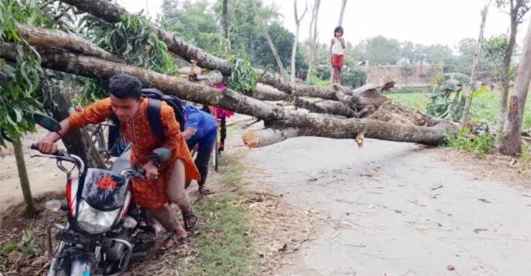 ঝড়ে লন্ডভন্ড ঠাকুরগাঁওয়ের ২০ গ্রাম, নিহত ৩