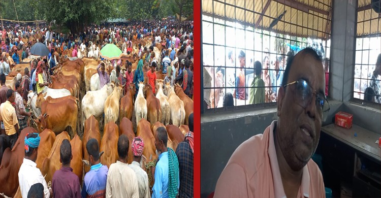 গরুর হাটে নেওয়া হচ্ছে অতিরিক্ত টাকা, প্রশ্ন করায় মেজাজ হারালেন ইজারাদার