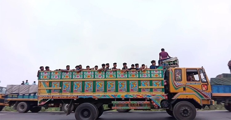 ঝুকি নিয়ে গরুর ট্রাকে বাড়ি ফিরছেন ঘরমুখো মানুষ