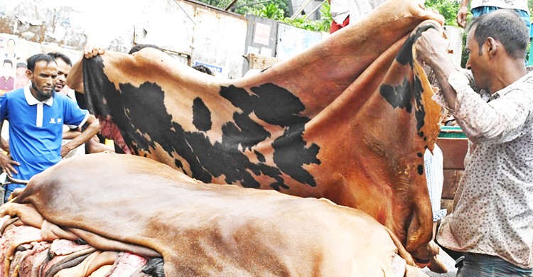 চামড়ার দাম ছিল কাগজে-কলমে