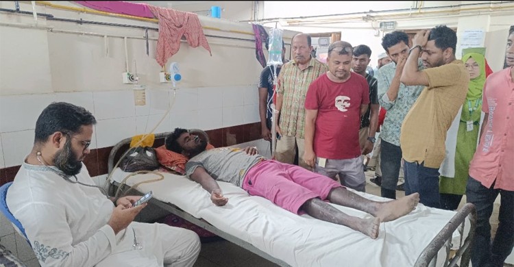 মাছ ধরতে গিয়ে বিষাক্ত সাপের কামড়ে যুবক আহত