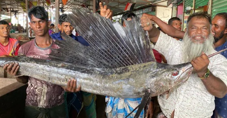 জেলের জালে ধরা পড়ল ২৫ কেজির পাখি মাছ