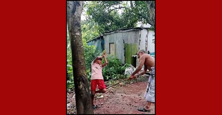 টঙ্গীবাড়ীতে শিক্ষার্থীকে গাছের সাথে ঝুঁলিয়ে নির্যাতন, ভিডিও ভাইরাল