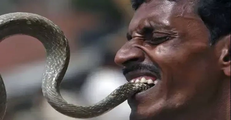 মানুষের কামড়ে মারা গেল সাপ !