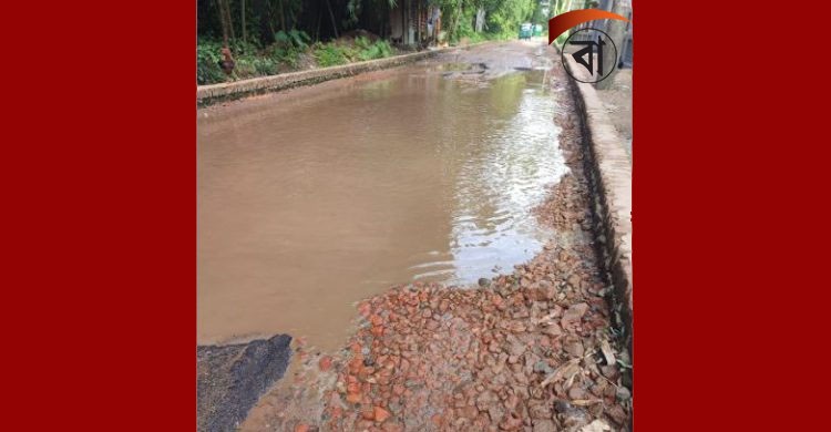 গোলাপগঞ্জ হেমিগঞ্জ দেওয়ান সড়কের বেহাল দশা