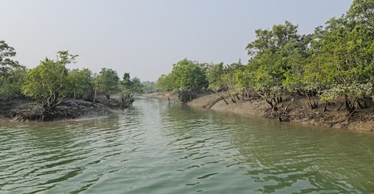 ৯০ দিন নিষেধাজ্ঞার পর উন্মুক্ত হচ্ছে সুন্দরবন