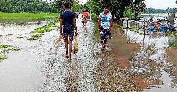 নেত্রকোণায় কমছে বন্যার পানি, বাড়ছে দুর্ভোগ-দুশ্চিন্তা