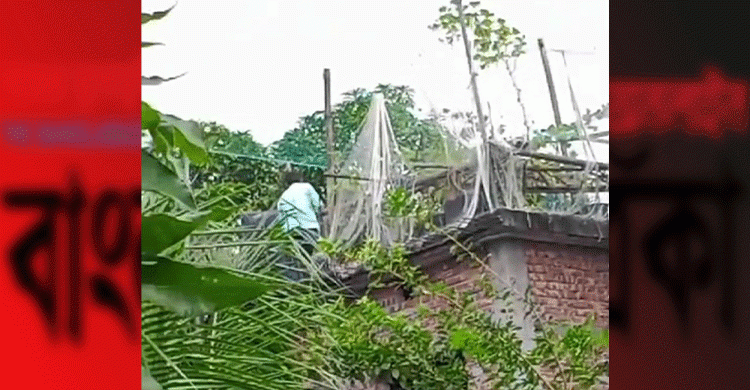 মুন্সীগঞ্জে প্রাণনাশের হুমকিতে দুই শিশুসহ চার সদস্যের পরিবার গ্রাম ছাড়া