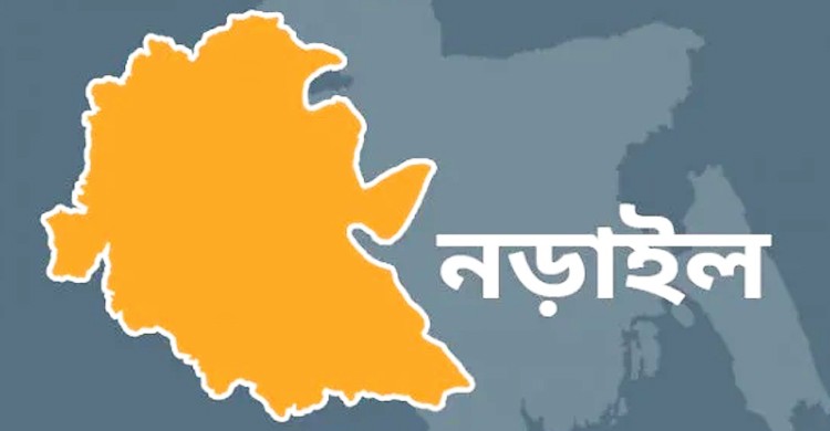 লোহাগড়ায় পুকুরে বিষ দিয়ে প্রায় লক্ষাধিক টাকার ক্ষতি