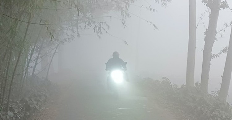 সারাদেশে শীতের দাপট, কুয়াশার পাশাপাশি বইছে হিমেল হাওয়া