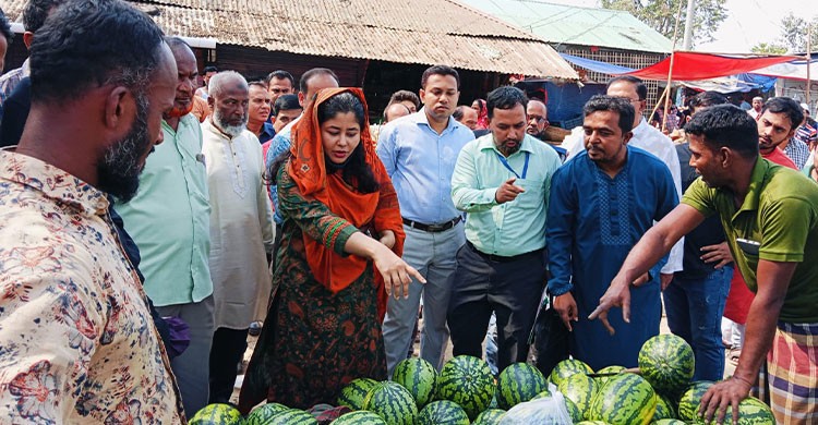 কাপাসিয়া উপজেলা প্রশাসনের উদ্যোগে  দ্রব্যমূল্য নিয়ন্ত্রণ ও বাজার মনিটরিং