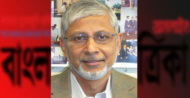 প্রধান উপদেষ্টার বিশেষ সহকারী হলেন ড. আনিসুজ্জামান চৌধুরী