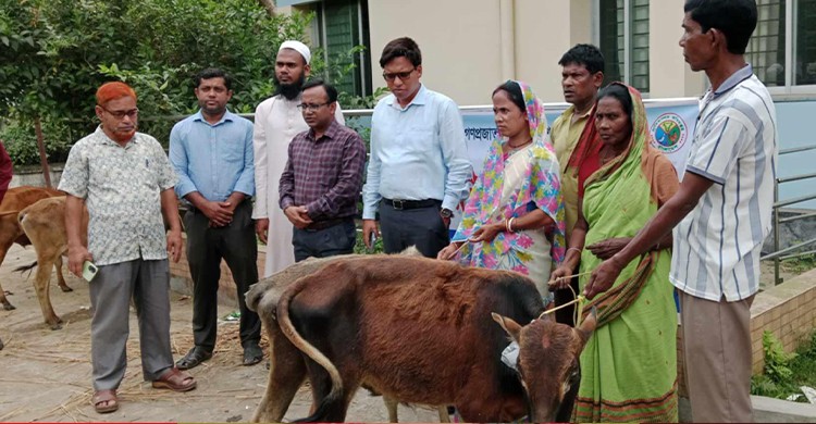 মাধবপুরে ক্ষুদ্র নৃগোষ্ঠীর মাঝে গরু বিতরণ