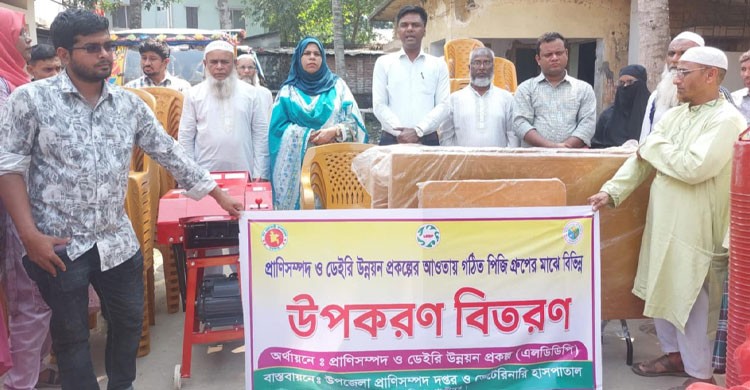 কাপাসিয়ায় প্রাণিসম্পদ ও ডেইরি উন্নয়নে পিজি গ্রুপের মাঝে উপকরণ বিতরণ