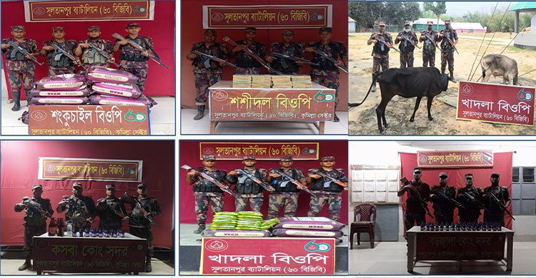 সুলতানপুর দুই কোটি টাকার সমপরিমাণ অবৈধ মালামাল জব্দ করেছে বিজিবি
