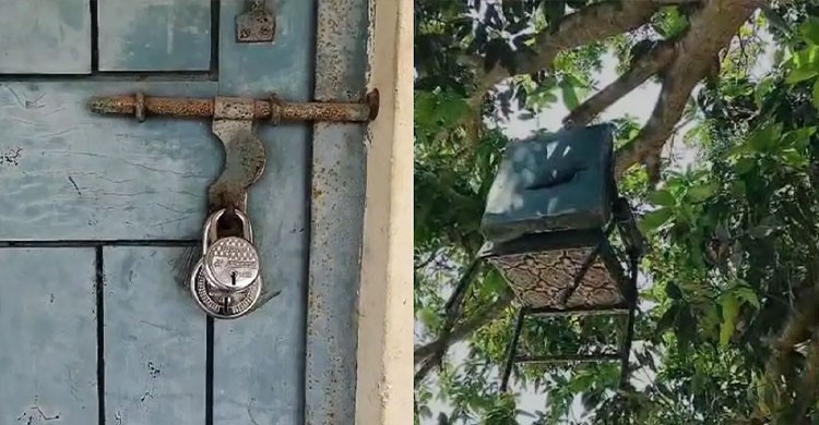 প্রধান শিক্ষিকার কক্ষে তালা, চেয়ার গাছে ঝুলছে