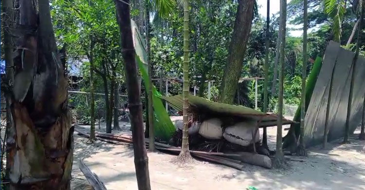 ঘর দখল, স্বর্ণ অলংকারসহ মালামাল লুটের অভিযোগ