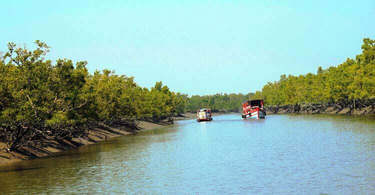 সুন্দরবনের ১০ কিমির মধ্যে শিল্পপ্রতিষ্ঠান নির্মাণে নিষেধাজ্ঞা